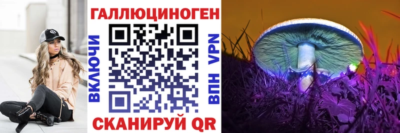Галлюциногенные грибы Psilocybine cubensis Собинка