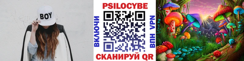 сколько стоит Собинка Псилоцибиновые грибы прущие грибы