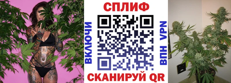 hydra как зайти  Собинка  Каннабис сатива  как найти наркотики 